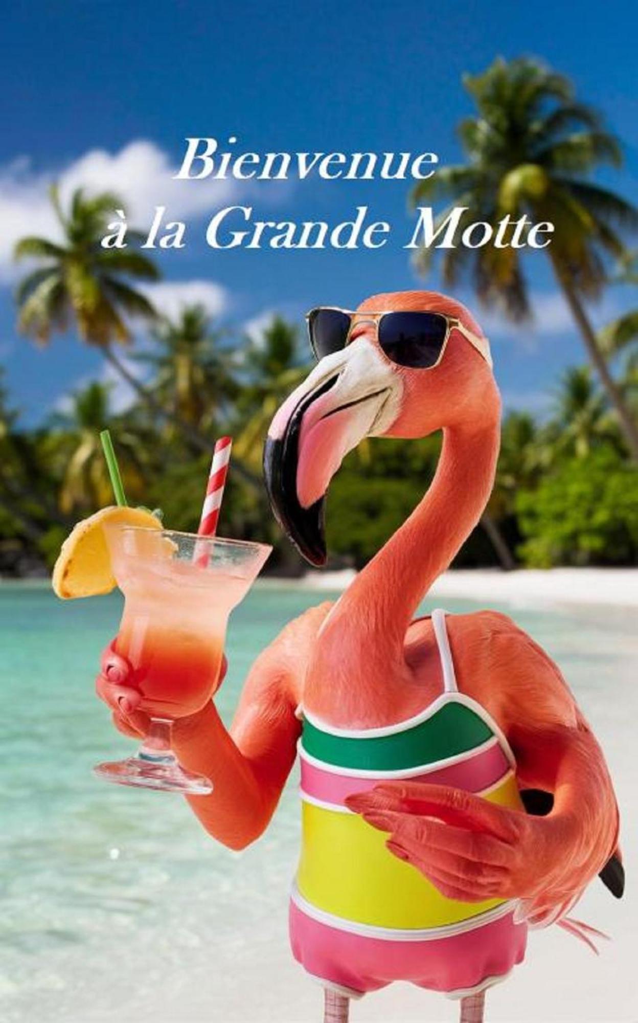 Mes vacances à la mer La Grande-Motte Esterno foto